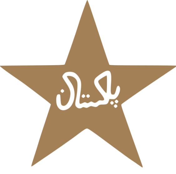 Pakistan Cricket
