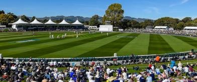 Hagley Oval image