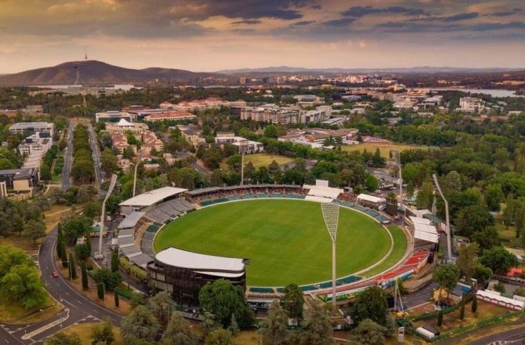 Manuka oval image